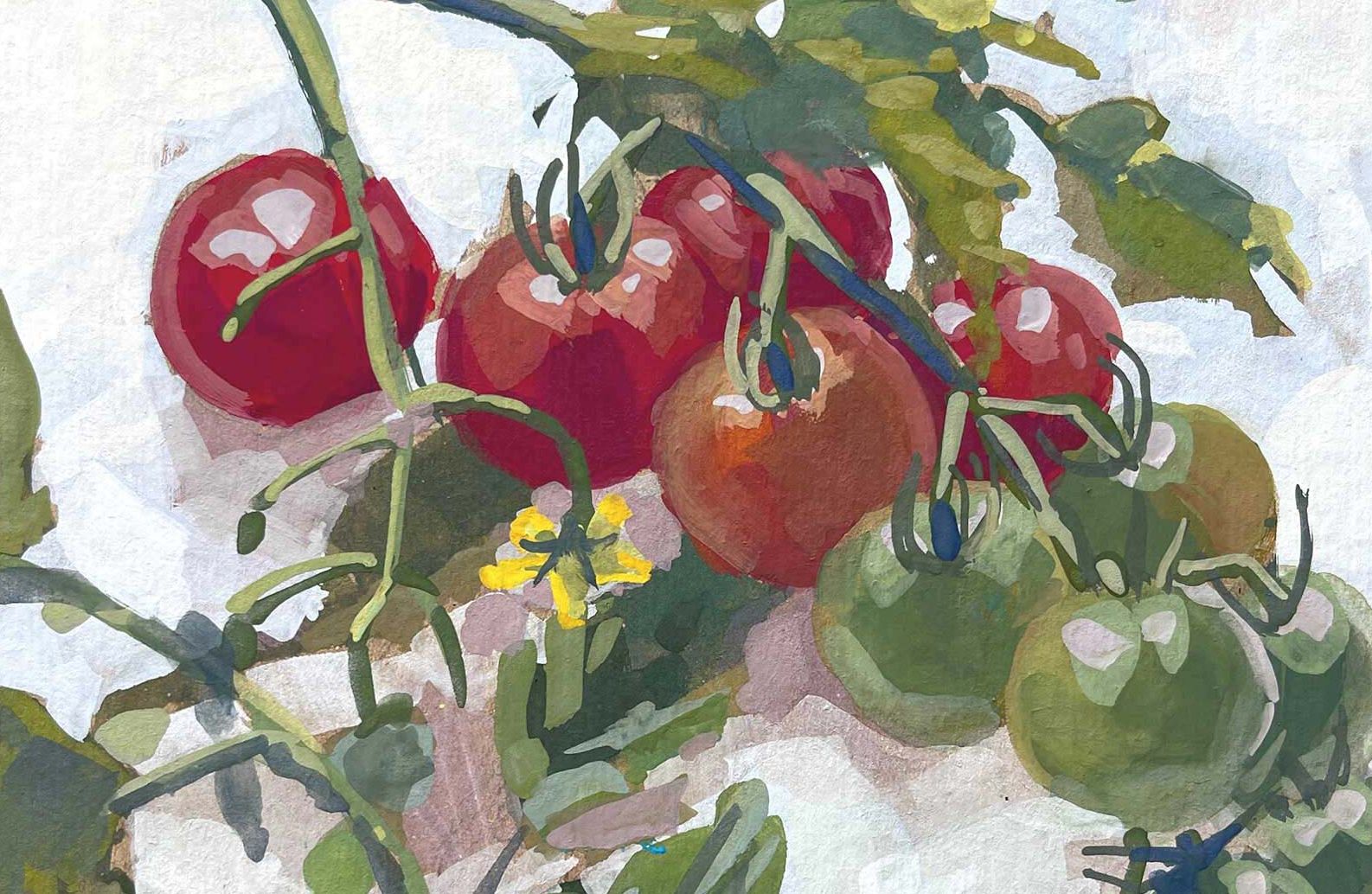 Shape Maker (Issue 162)